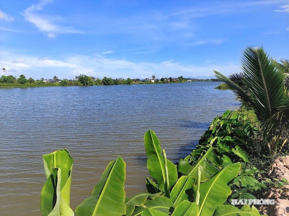 Công ty Khai thác công trình thủy lợi Đa Độ cung cấp nước thô đạt 50% kế hoạch năm Công ty Khai thác công trình thủy lợi Đa Độ cung cấp nước thô đạt 50% kế hoạch năm
